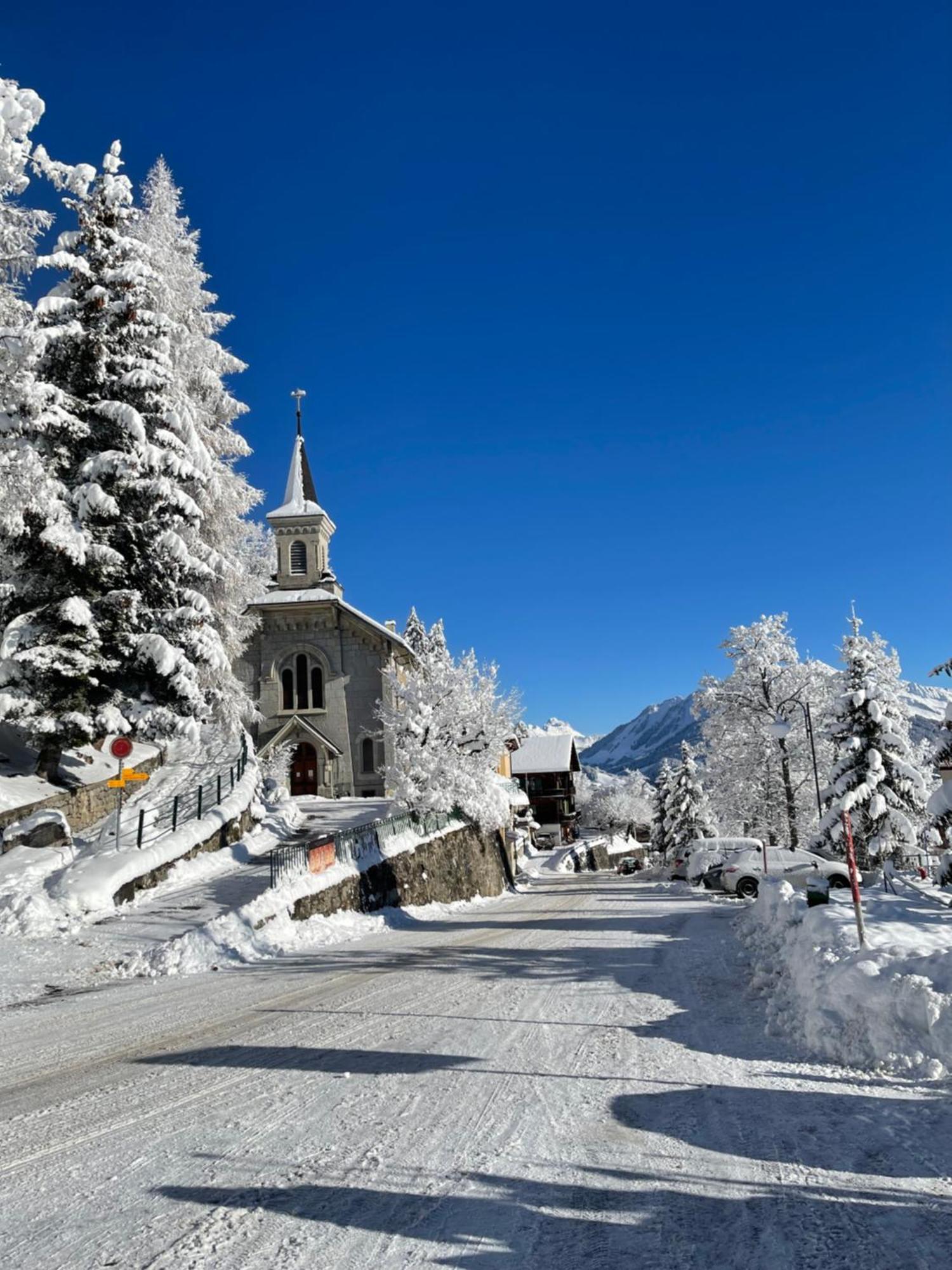 Charmant Appartement Au Vagabond Leysin Kültér fotó